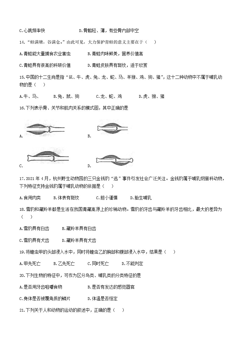 陕西省延安市富县2021-2022学年八年级上学期期中生物试题（word版 含答案）第3页