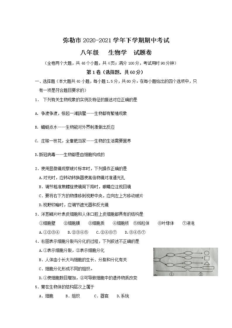 云南省弥勒市2020-2021学年下学期八年级期中考试生物试卷（word版 含答案）第1页