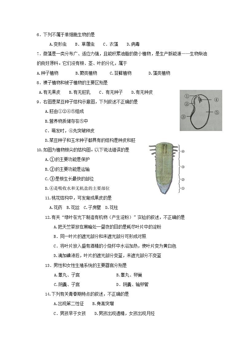 云南省弥勒市2020-2021学年下学期八年级期中考试生物试卷（word版 含答案）第2页