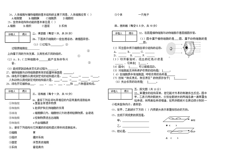 甘肃省酒泉市2021-2022学年七年级上学期期中生物试题（word版 含答案）02