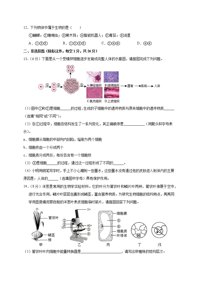 湖北省黄冈麻城市2021-2022学年七年级上学期期中联考生物试题（word版 含答案）03