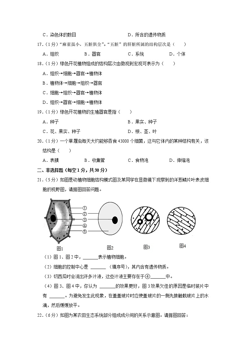 吉林省四平市铁西区2021-2022学年七年级上学期期中检测生物试卷（word版 含答案）第3页