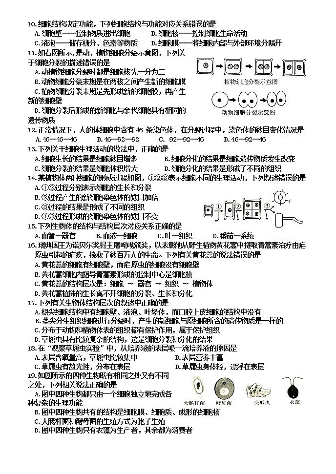 河南省焦作市沁阳市2021-2022学年七年级上学期期中生物试题（word版 含答案）第2页