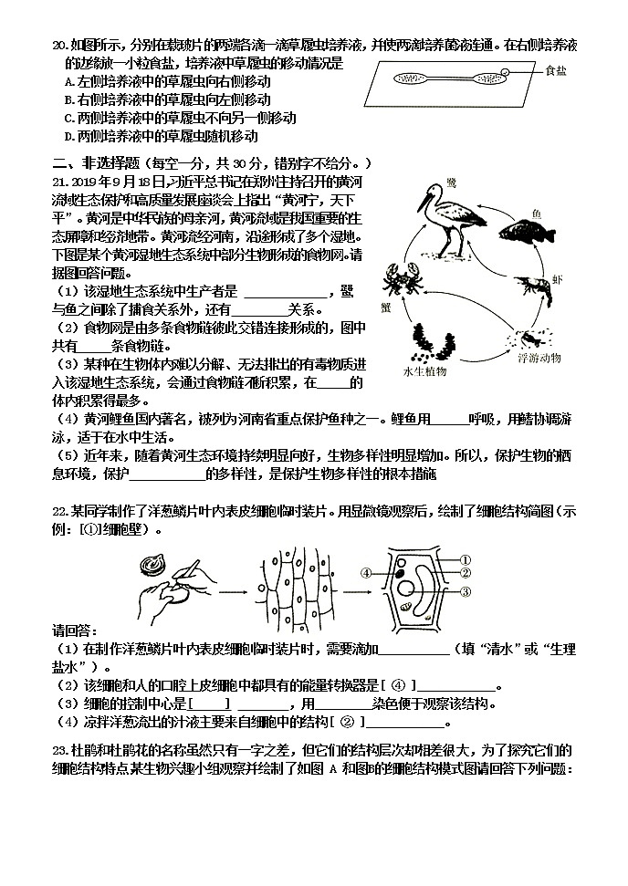 河南省焦作市沁阳市2021-2022学年七年级上学期期中生物试题（word版 含答案）第3页