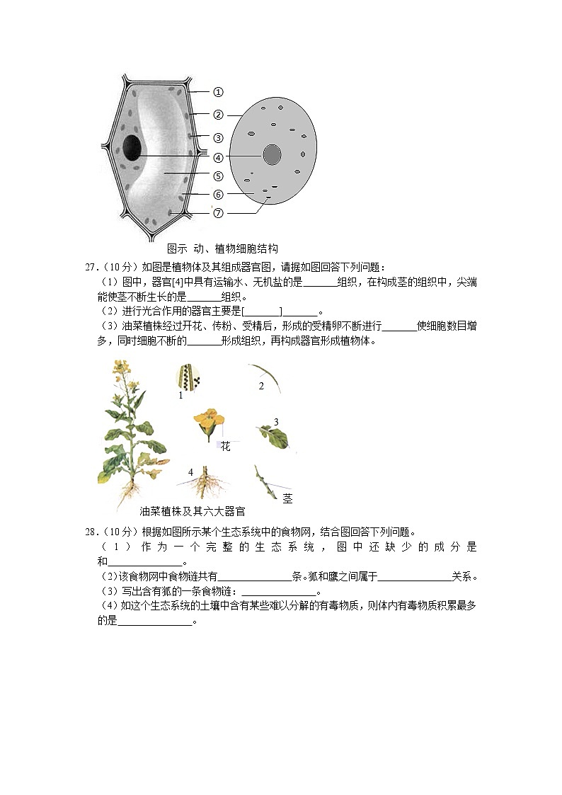 湖南省衡阳市耒阳市2020-2021学年七年级上学期期中生物试卷（word版 含答案）03