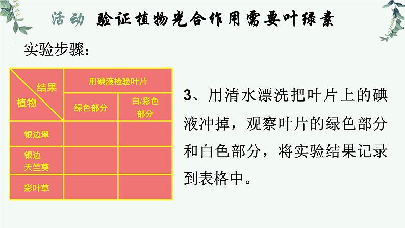 第一节光合作用（二课时）课件PPT第8页