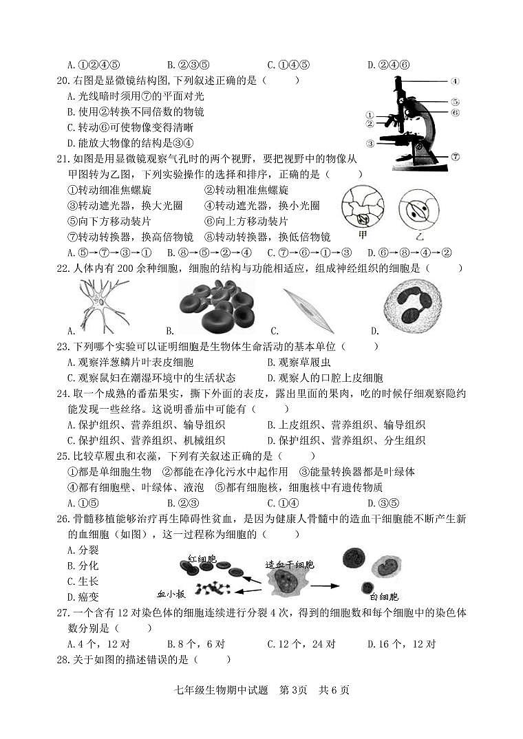 七年级生物期中试题03
