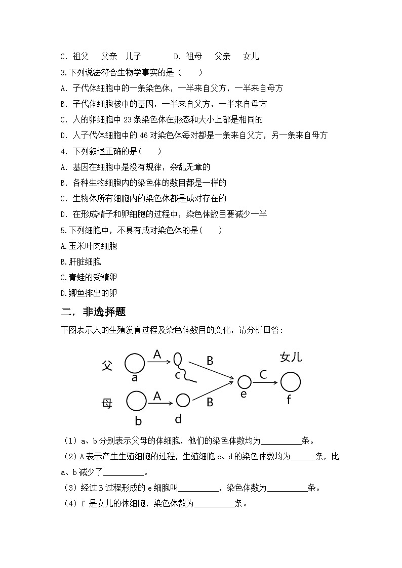 【核心素养目标】人教版初中生物八年级下册7.2.2《基因在亲子代间的传递》课件+视频+教学设计+同步分层练习（含答案）03