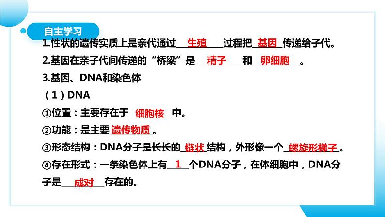 【核心素养目标】人教版初中生物八年级下册7.2.2《基因在亲子代间的传递》课件+视频+教学设计+同步分层练习（含答案）06