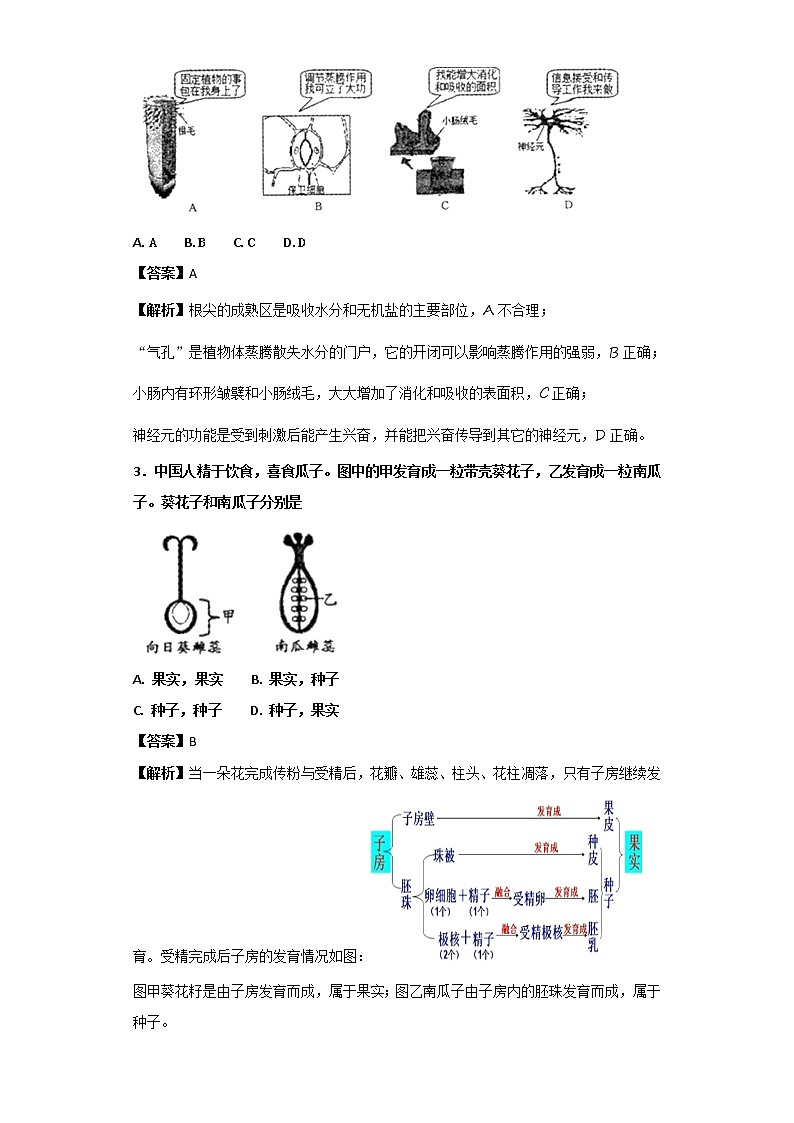 浙江省绍兴市2018年中考生物试题+答案02