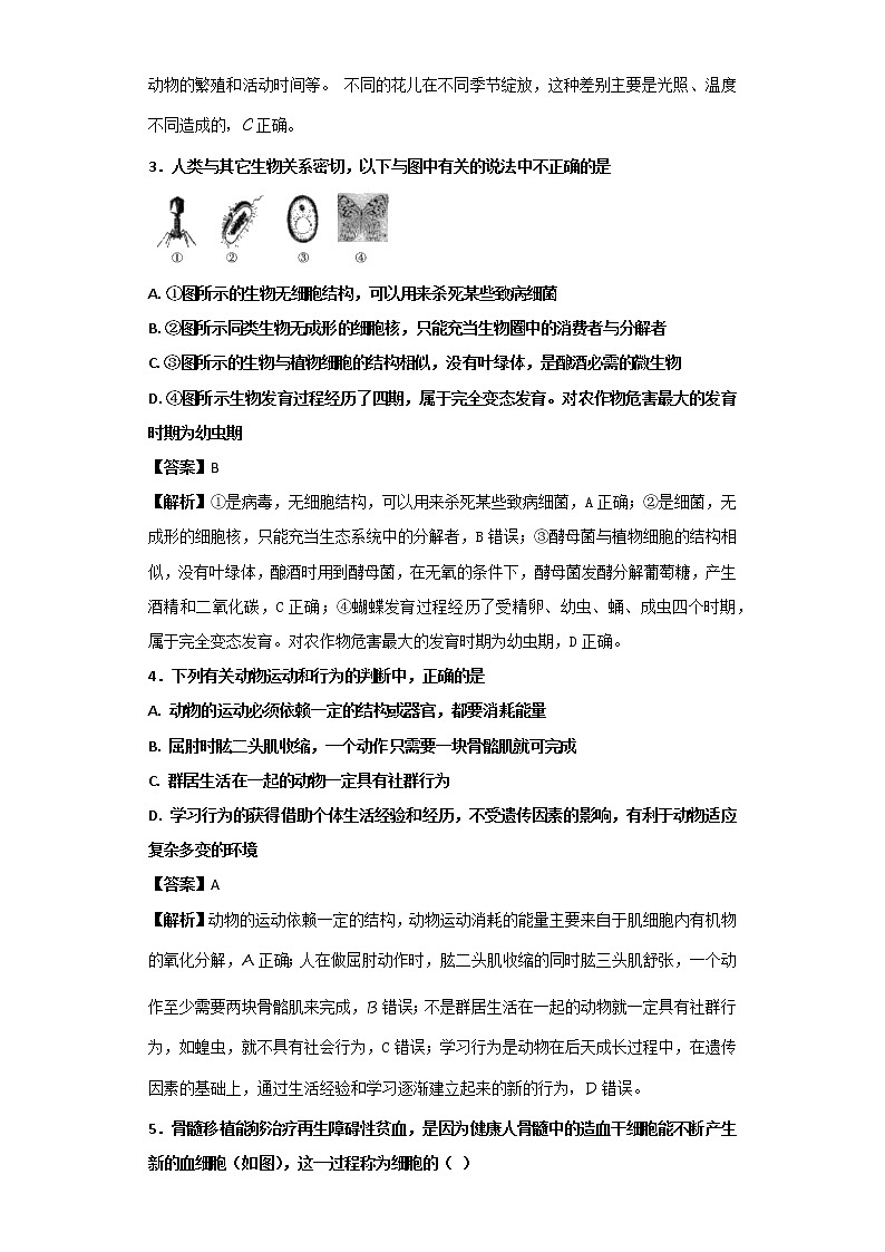 湖北省恩施州2018年中考生物卷+答案02