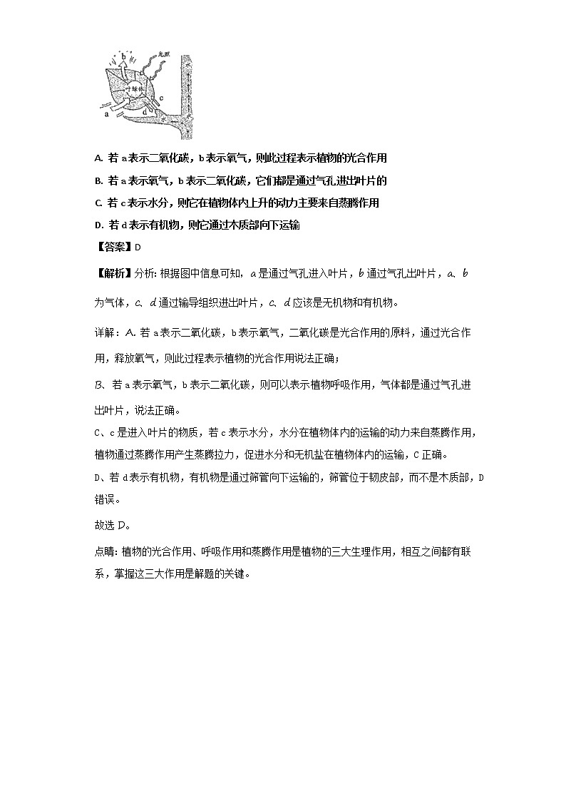浙江省衢州市2018年中考生物试题（解析卷）03
