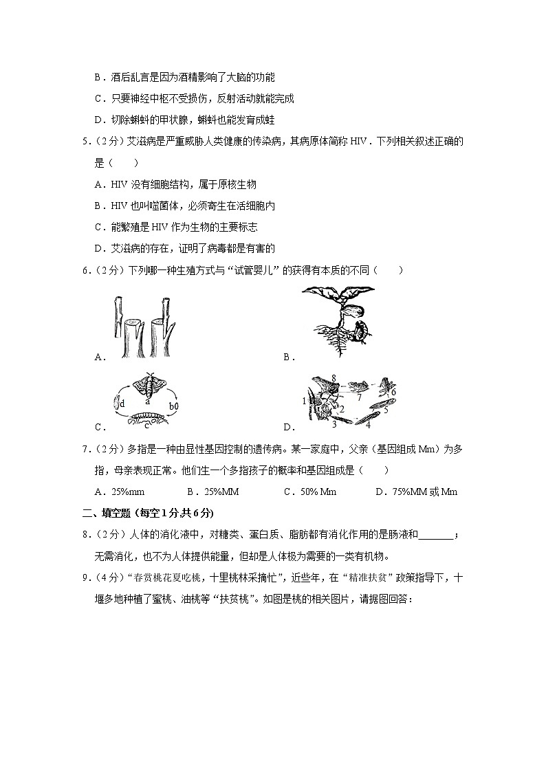 2019年湖北省十堰市中考生物试卷+答案02