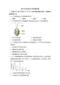 2019年北京市中考生物试卷+答案