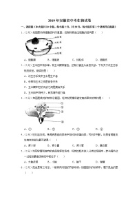 2019年安徽省中考生物试卷+答案