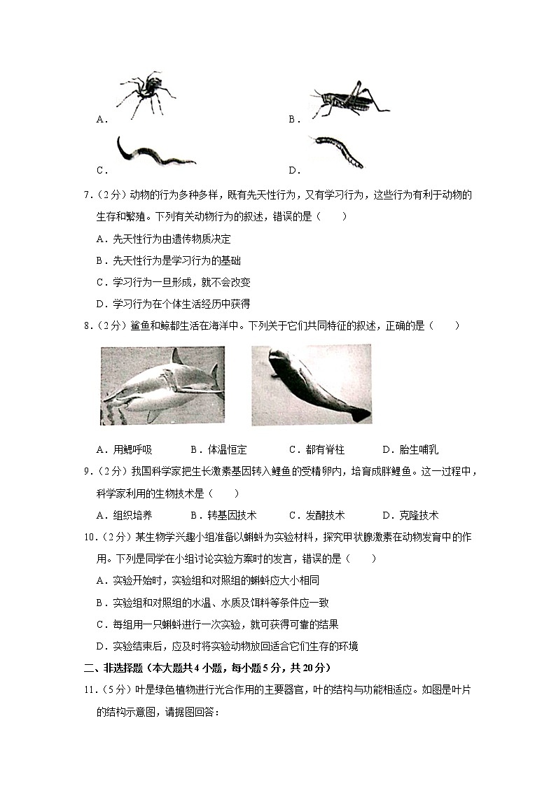 2019年安徽省中考生物试卷+答案02