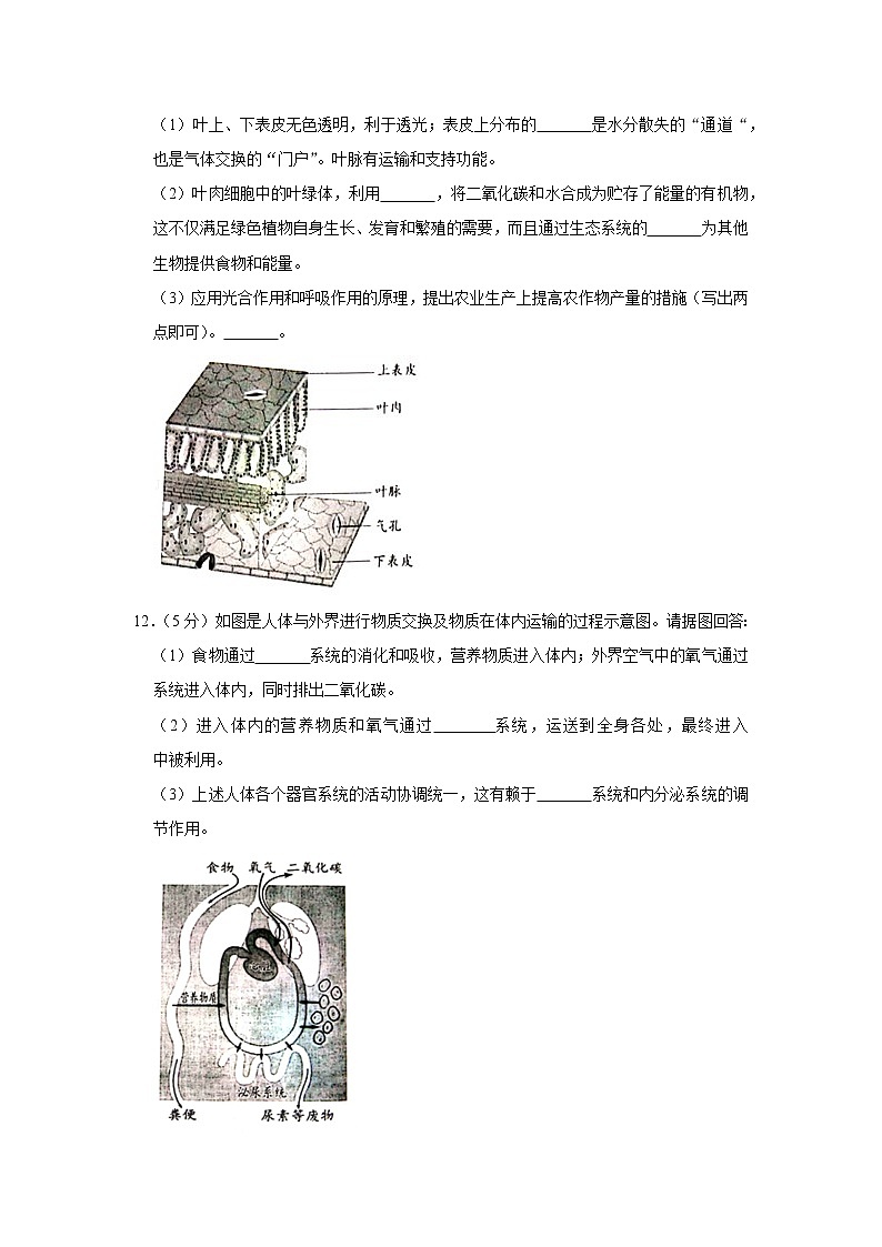 2019年安徽省中考生物试卷+答案03