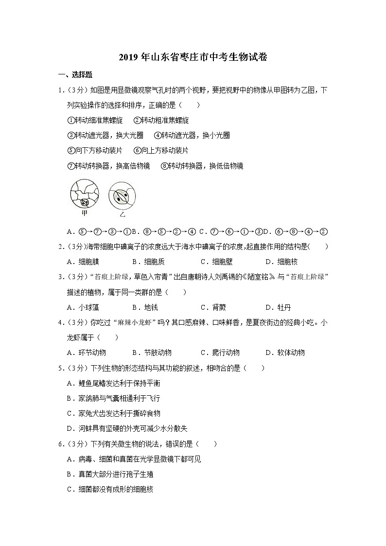 2019年山东省枣庄市中考生物试卷+答案01