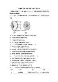 2019年山东省青岛市中考生物试卷+答案