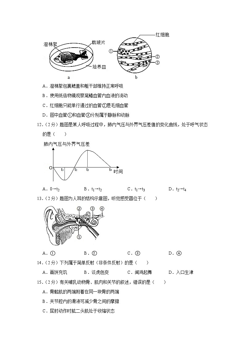 2019年广东省中考生物试卷+答案03