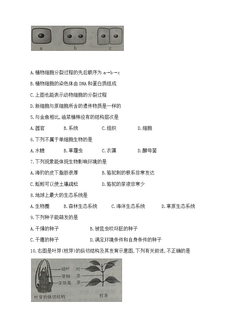 2019年云南省中考生物学试题+答案02