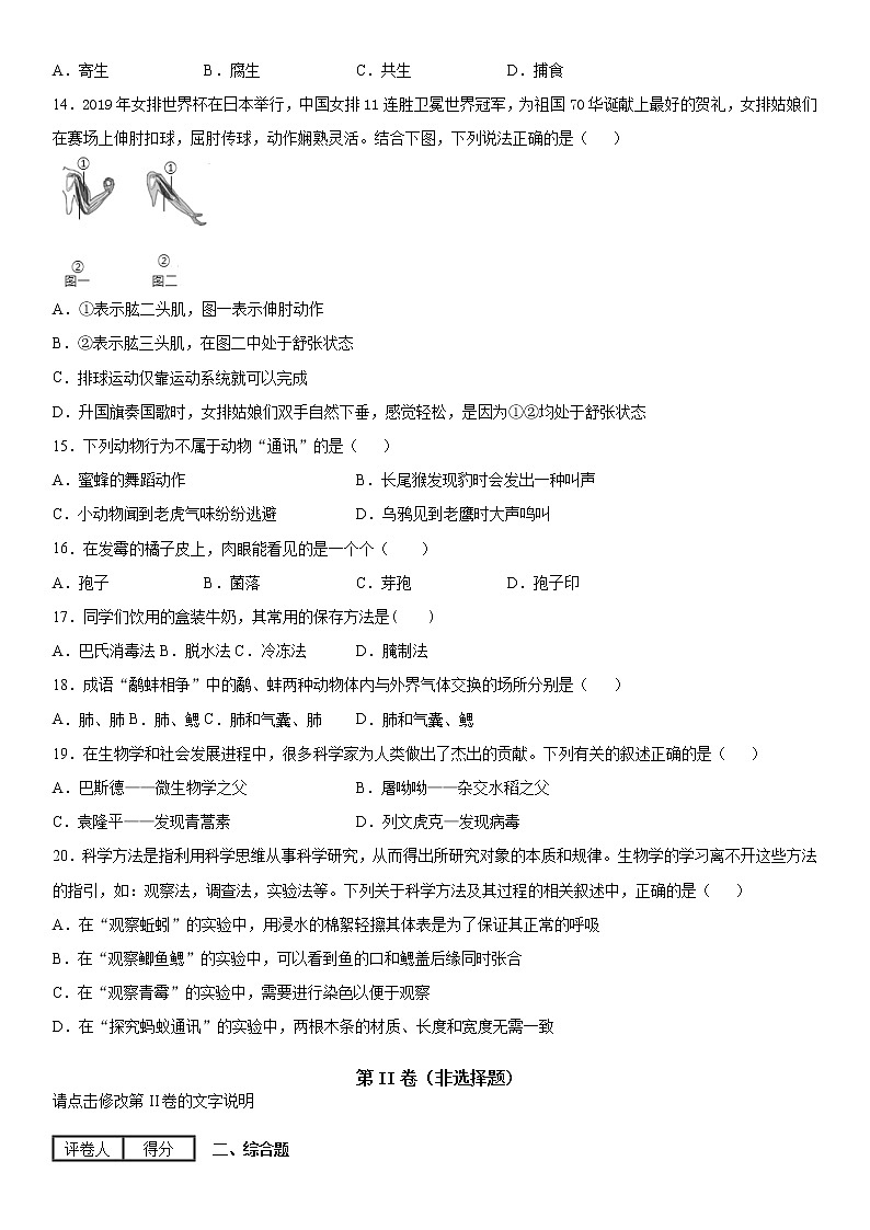 2019-2020学年八年级上学期山西省太原、临汾地区阶段三质量评估生物试题及答案（原卷+解析卷）03