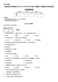 2019-2020学年七年级上学期安徽省阜阳市城南中学第三次调研考试生物试题（原卷+解析卷）