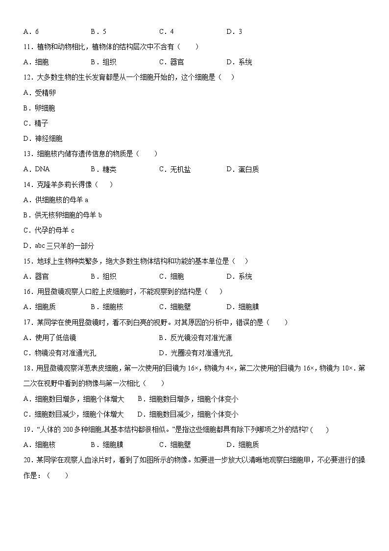 2019-2020学年七年级上学期河南省南阳市镇平县期中生物试题（原卷+解析卷）02