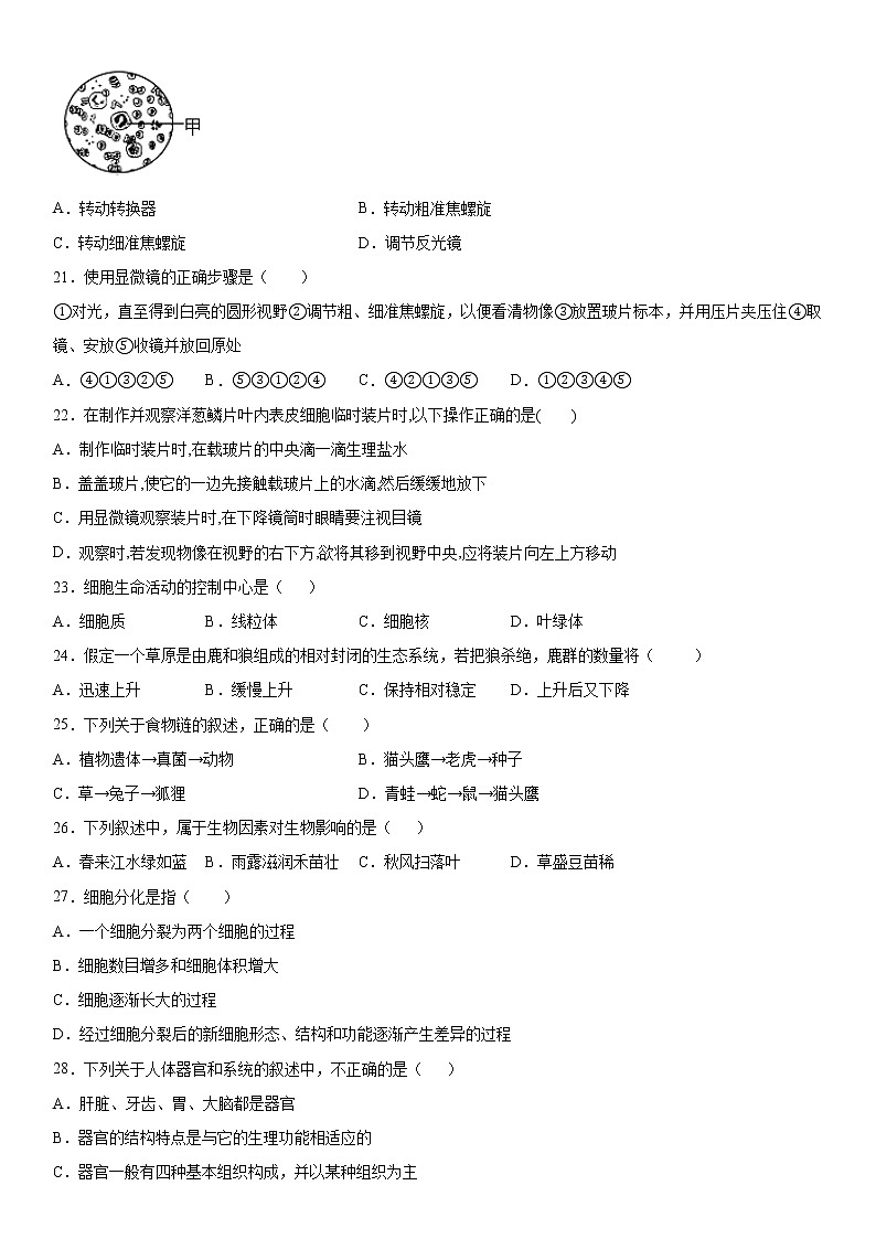 2019-2020学年七年级上学期河南省南阳市镇平县期中生物试题（原卷+解析卷）03