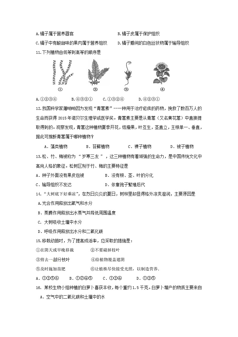 山东省济宁市梁山县2021-2022学年七年级上学期期中考试生物试题（word版 含答案）第3页