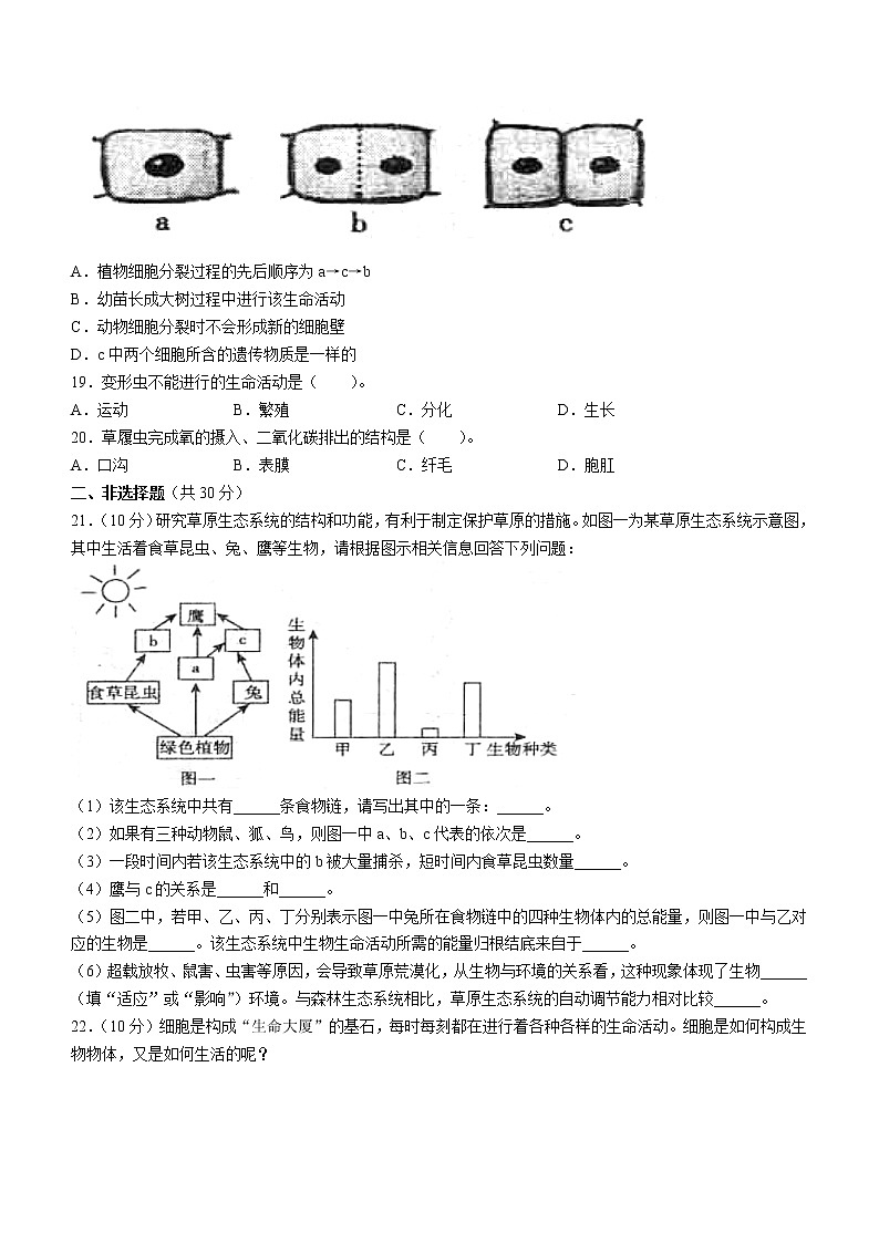 河北省唐山市玉田县2021-2022学年七年级上学期期中生物试题（word版 含答案）第3页