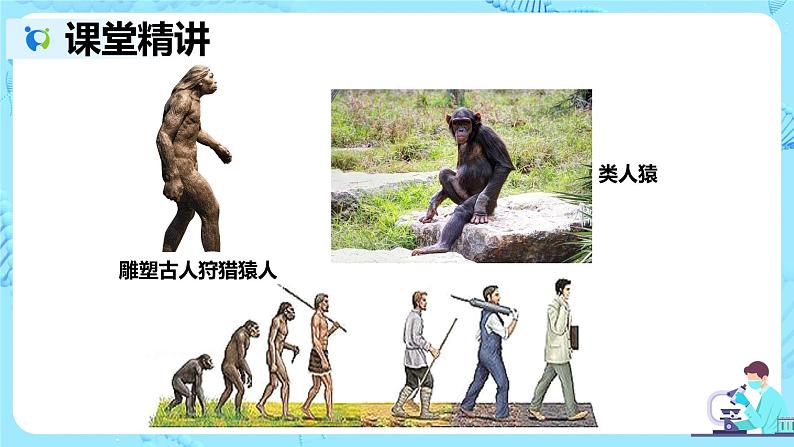 2021年人教版初中生物七年级下册《1.1 人类的起源与发展》课件+教案+同步练习03