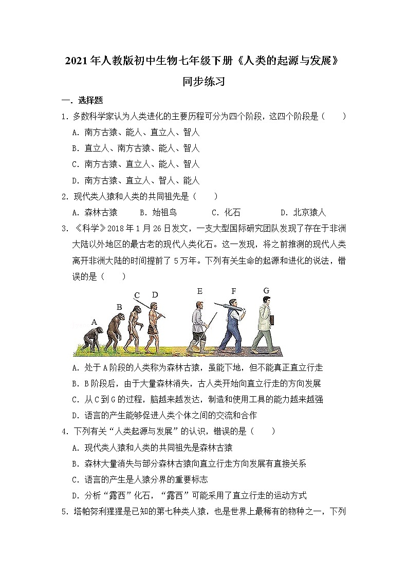 2021年人教版初中生物七年级下册《1.1 人类的起源与发展》同步练习（含答案）第1页