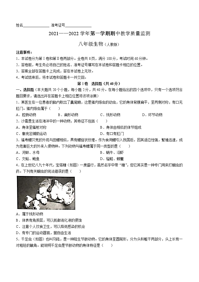 山西省临汾市洪洞县2021-2022学年八年级上学期期中生物试题（word版 无答案）01