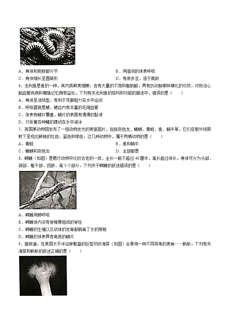 山西省临汾市洪洞县2021-2022学年八年级上学期期中生物试题（word版 无答案）02