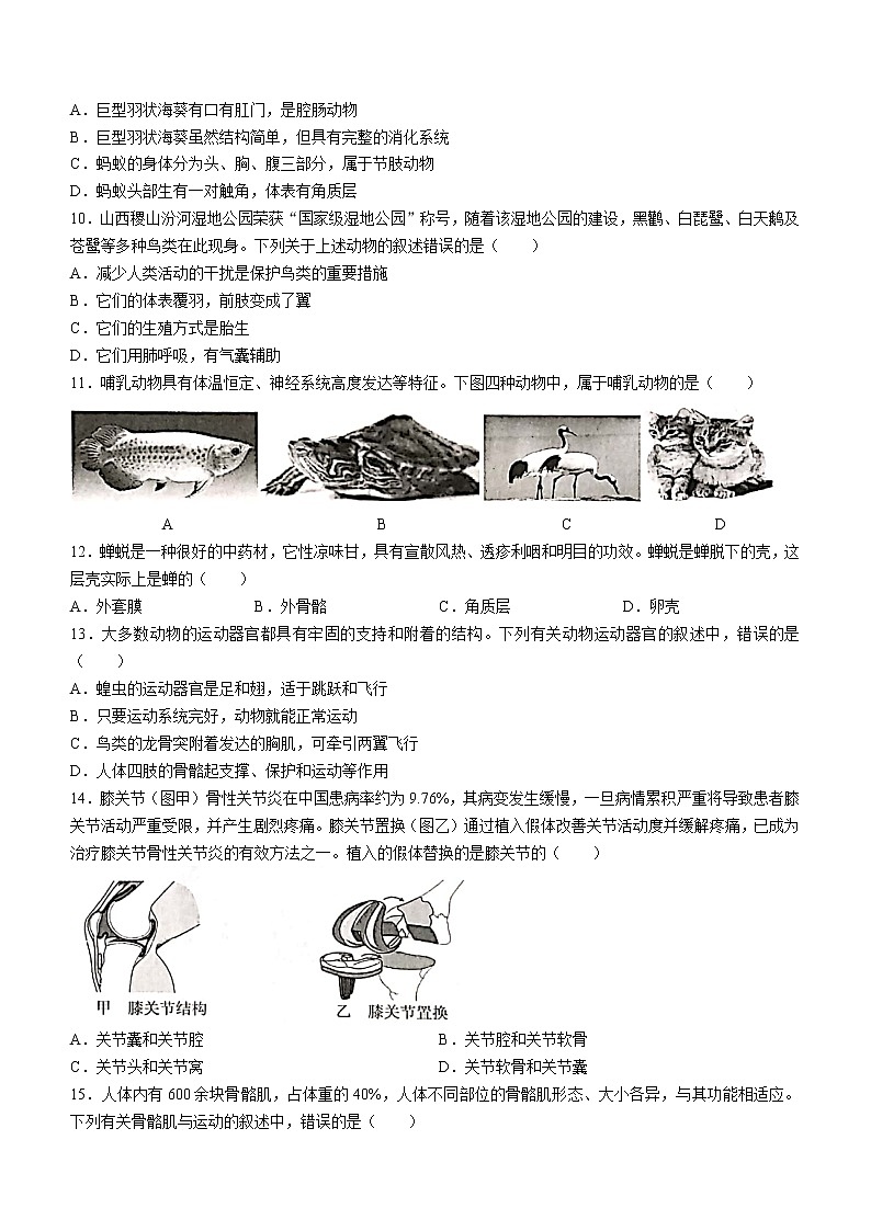 山西省临汾市洪洞县2021-2022学年八年级上学期期中生物试题（word版 无答案）03