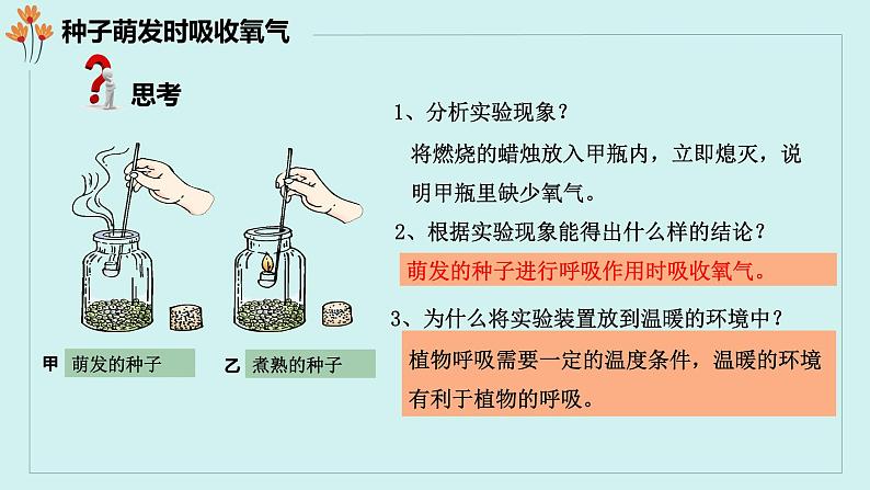 第五章第二节 呼吸作用课件PPT第7页