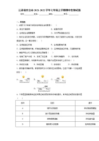 江苏省东台市2021-2022学年七年级上学期期中生物试题（word版 含答案）