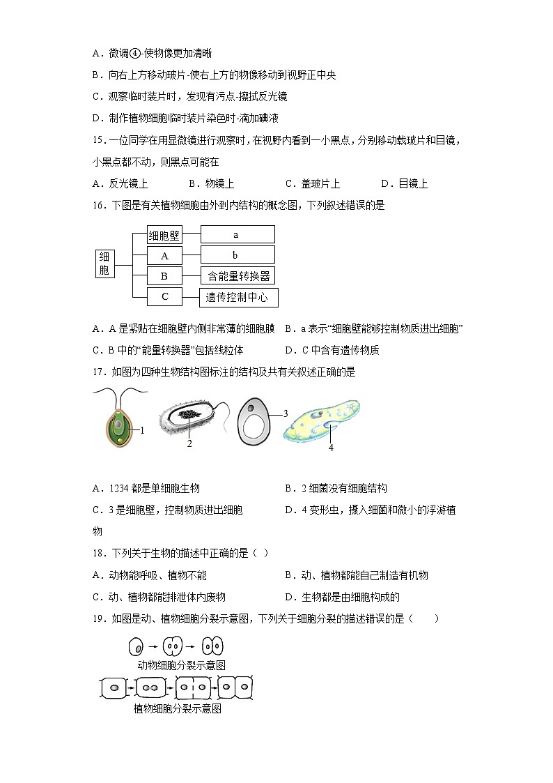 安徽省淮南市2021-2022学年七年级上学期期中生物试题（word版 含答案）第3页