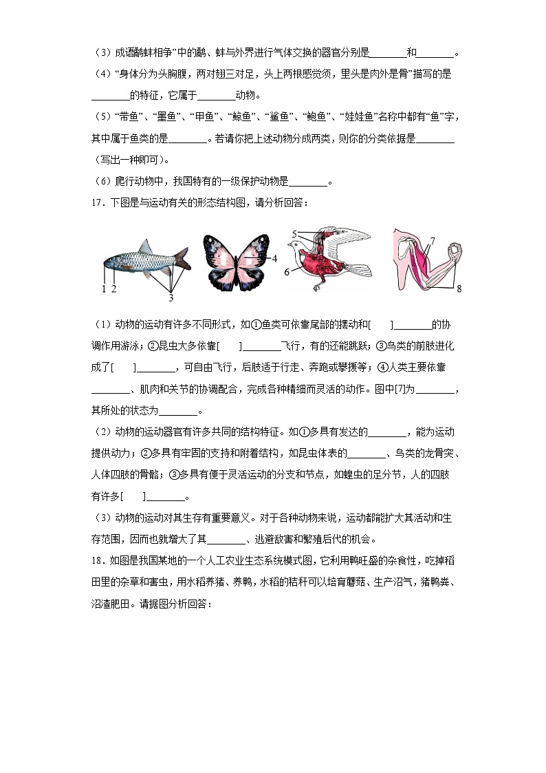 辽宁省锦州市北镇市2021-2022学年八年级上学期期中生物试题（word版 含答案）03