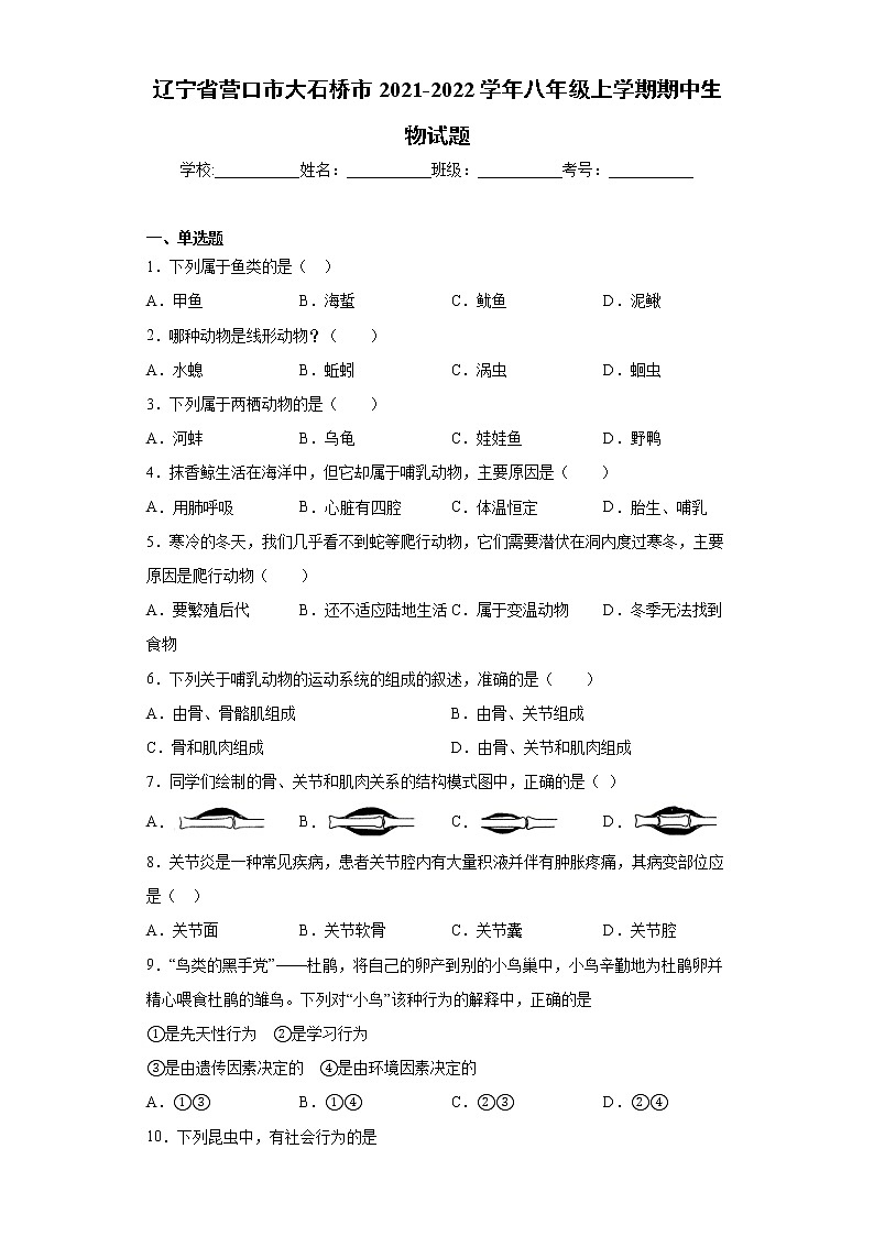 辽宁省营口市大石桥市2021-2022学年八年级上学期期中生物试题（word版 含答案）01