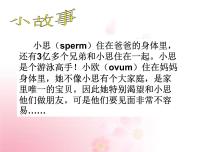 生物七年级下册第四单元 生物圈中的人第一章 人的由来第二节 人的生殖评课ppt课件