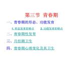 人教版生物七年级下册课件1.3 青春期 (1)