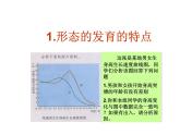 人教版生物七年级下册课件1.3 青春期 (1)