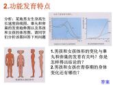 人教版生物七年级下册课件1.3 青春期 (1)