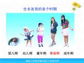 人教版生物七年级下册课件1.3 青春期 (2)