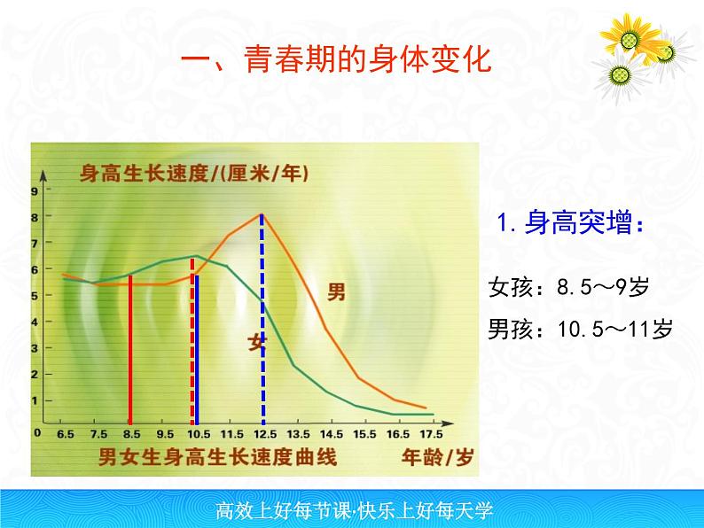 人教版生物七年级下册课件1.3 青春期 (2)04