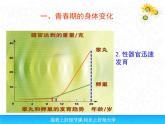 人教版生物七年级下册课件1.3 青春期 (2)