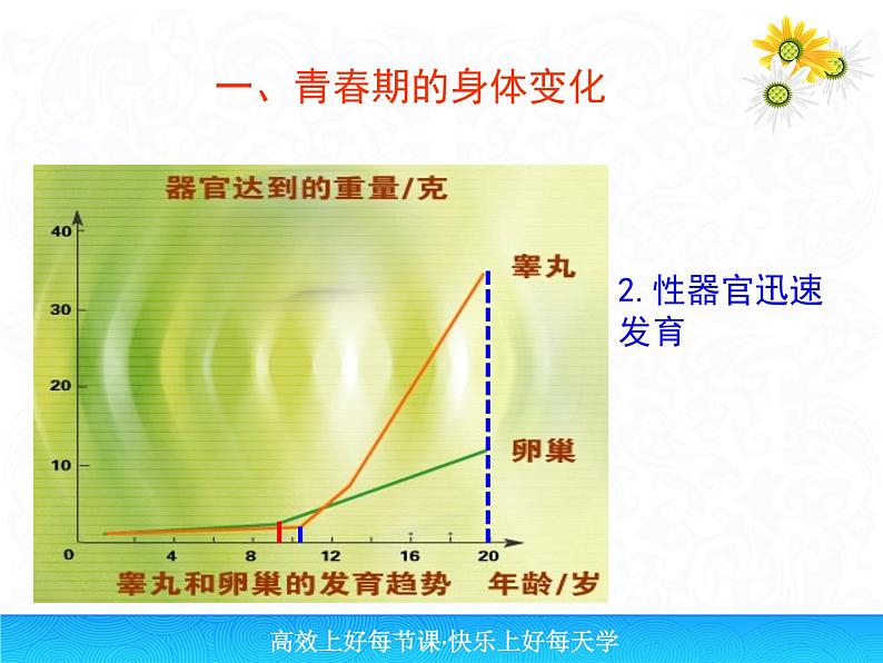 人教版生物七年级下册课件1.3 青春期 (2)05