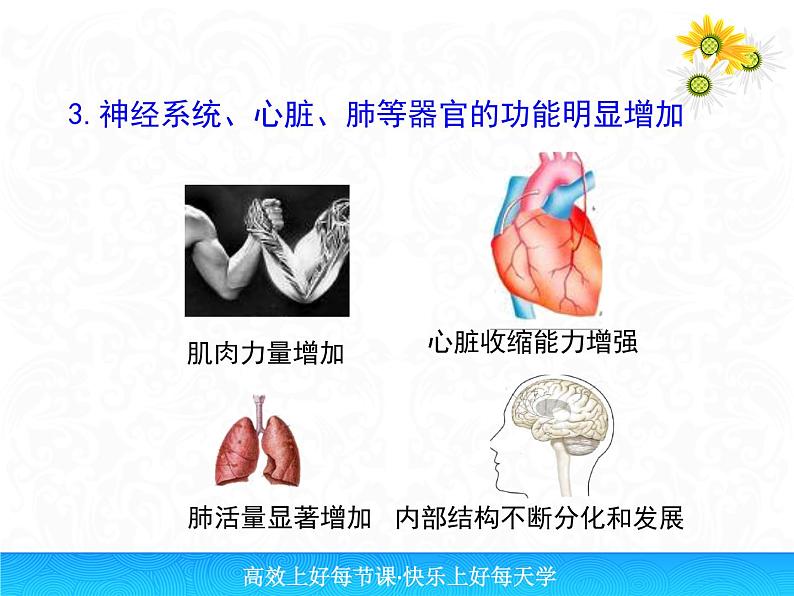 人教版生物七年级下册课件1.3 青春期 (2)06